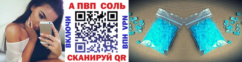 Альфа ПВП СК  Новокузнецк 
