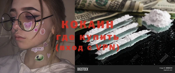 2c-b Бородино