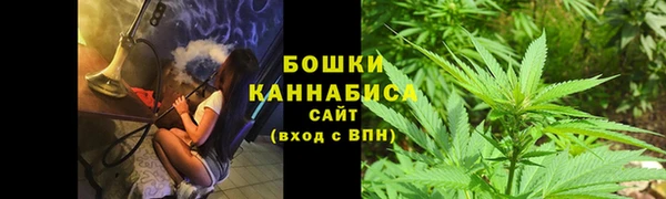 2c-b Бородино
