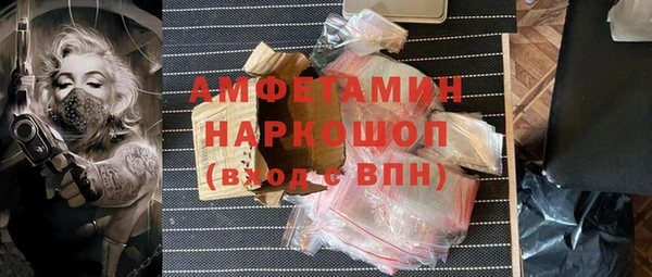 2c-b Бородино