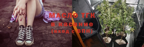 2c-b Бородино